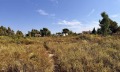 Продава ПАРЦЕЛ, Гърция, Халкидики • 1200000 € / 2346996.00 лв. • 53779541 3