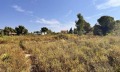 Продава ПАРЦЕЛ, Гърция, Халкидики • 1200000 € / 2346996.00 лв. • 53779541 4