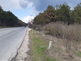 Plott Vinitsa, Varna