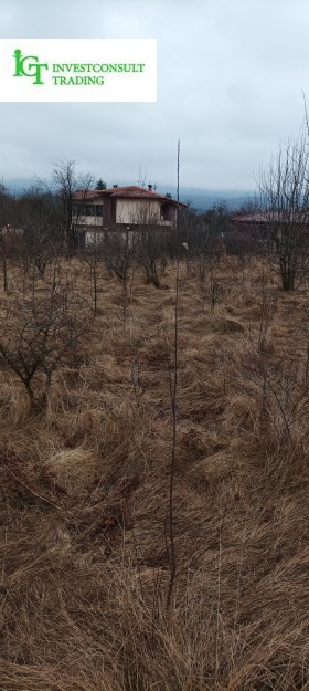 ����� ������� ������,�. ���������, ������ �����