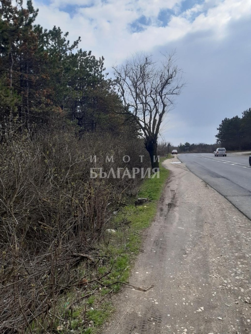Na prodej  Spiknutí Varna , Vinica , 7600 m2 | 48907352 - obraz [2]