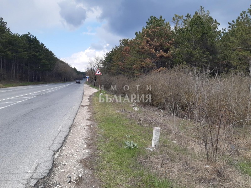 Na prodej  Spiknutí Varna , Vinica , 7600 m2 | 48907352