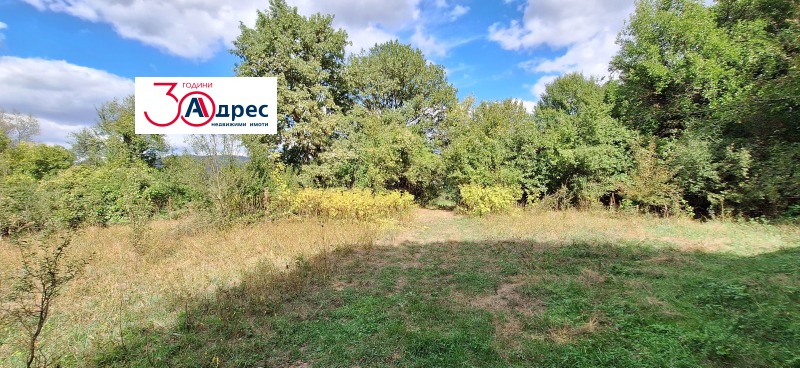 Продаја  Плот регион Велико Тарново , Елена , 4855 м2 | 21961538 - слика [6]
