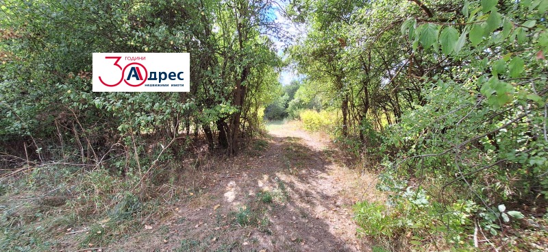 Продаја  Плот регион Велико Тарново , Елена , 4855 м2 | 21961538 - слика [8]