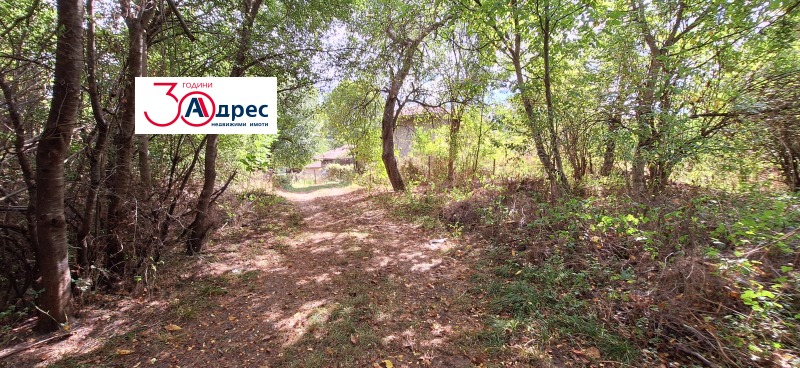 Продаја  Плот регион Велико Тарново , Елена , 4855 м2 | 21961538 - слика [5]
