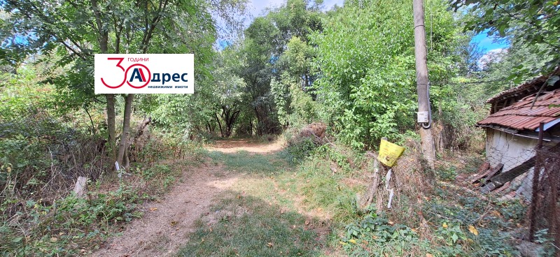 Продаја  Плот регион Велико Тарново , Елена , 4855 м2 | 21961538 - слика [4]