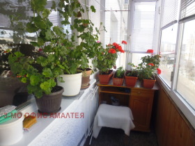 ������� 2-����� | Imot.bg � ����� ������ 14