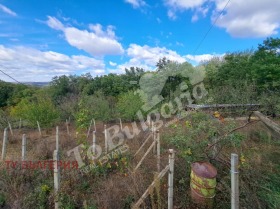 Casa Kapinovo, región Veliko Tarnovo 6