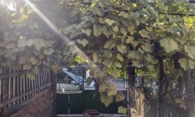 ������� ���� | Imot.bg � ����� ������ 7