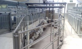 ������� ����� | Imot.bg � ����� ������ 13