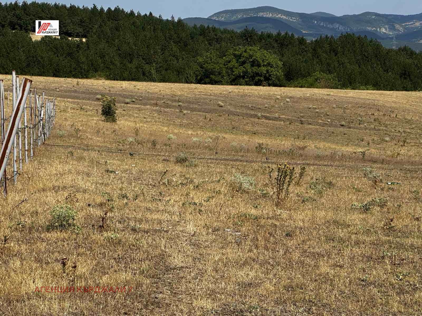 Продава ПАРЦЕЛ, с. Петлино, област Кърджали, снимка 10 - Парцели - 54744652