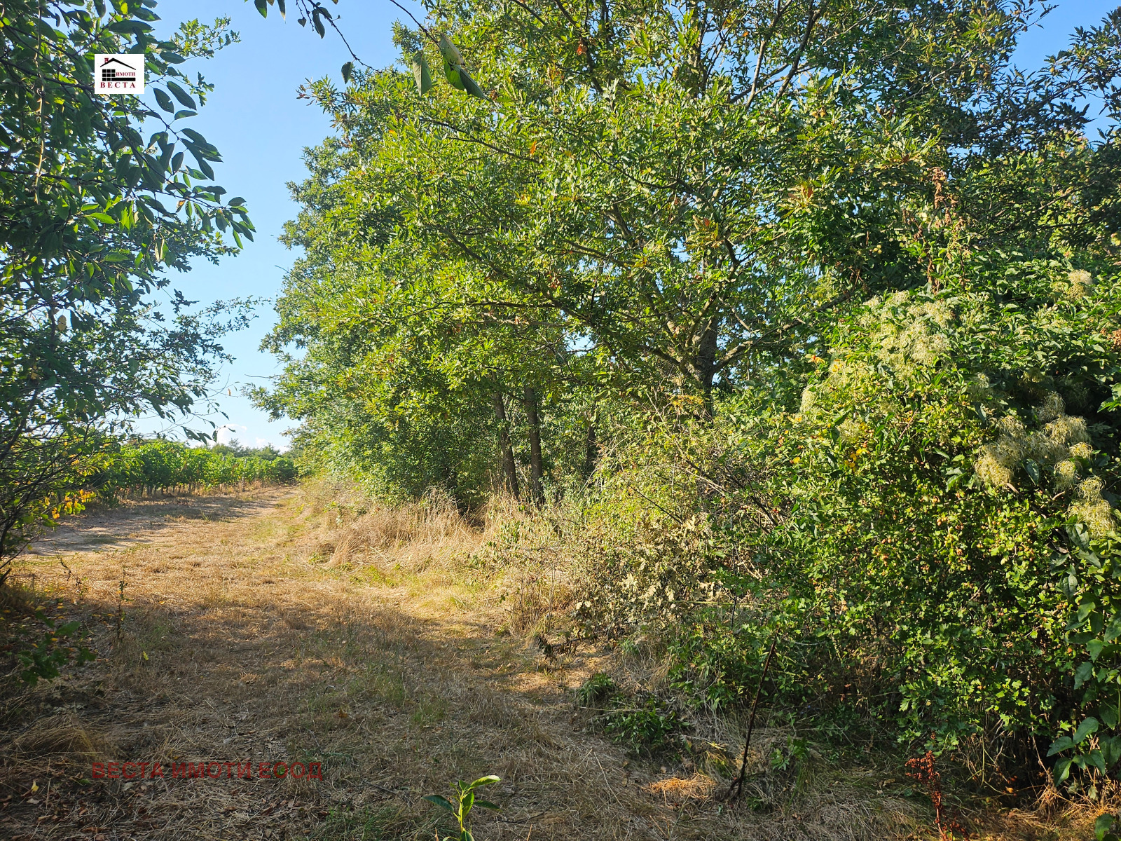 Продава ПАРЦЕЛ, гр. Варна, м-т Боровец - юг, снимка 5 - Парцели - 56092394