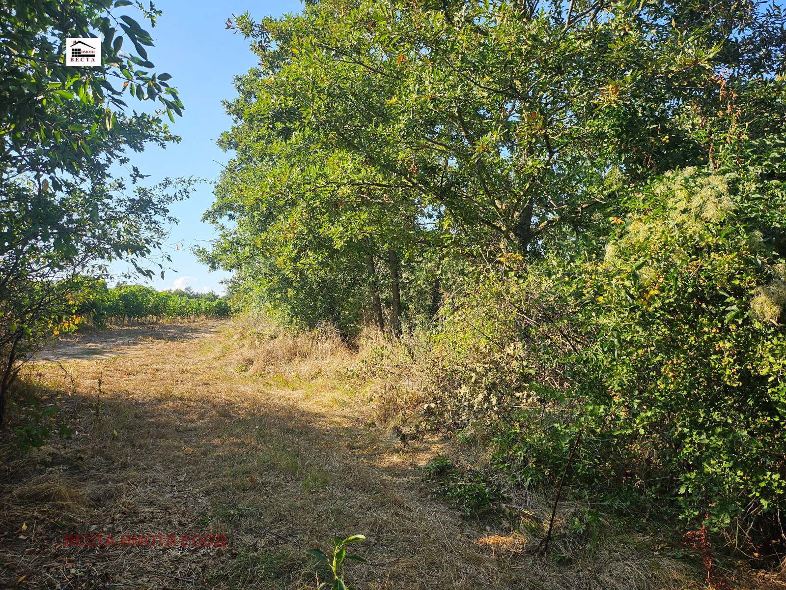 Продава ПАРЦЕЛ, гр. Варна, м-т Боровец - юг, снимка 3 - Парцели - 56092394