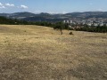 Продава ПАРЦЕЛ, с. Петлино, област Кърджали, снимка 11
