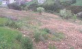 Продава ПАРЦЕЛ, Извън страната, област Извън страната, снимка 2