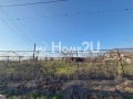 Продава ПАРЦЕЛ, с. Ведраре, област Пловдив, снимка 4