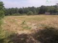 Продава ПАРЦЕЛ, област Бургас, гр. Обзор • 30000 € • 63603614 — Holmes.bg