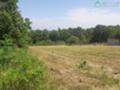 Продава ПАРЦЕЛ, област Бургас, гр. Обзор • 30000 € • 63603614 — Holmes.bg