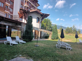 Studie Bansko, region Blagoevgrad 7