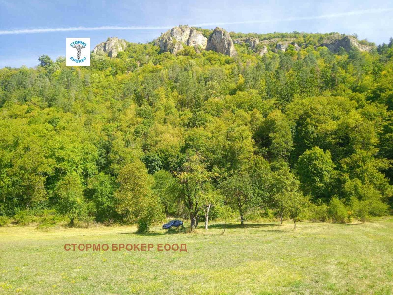 De vânzare  Complot regiunea Lovech , Ribarița , 3800 mp | 72439361 - imagine [4]