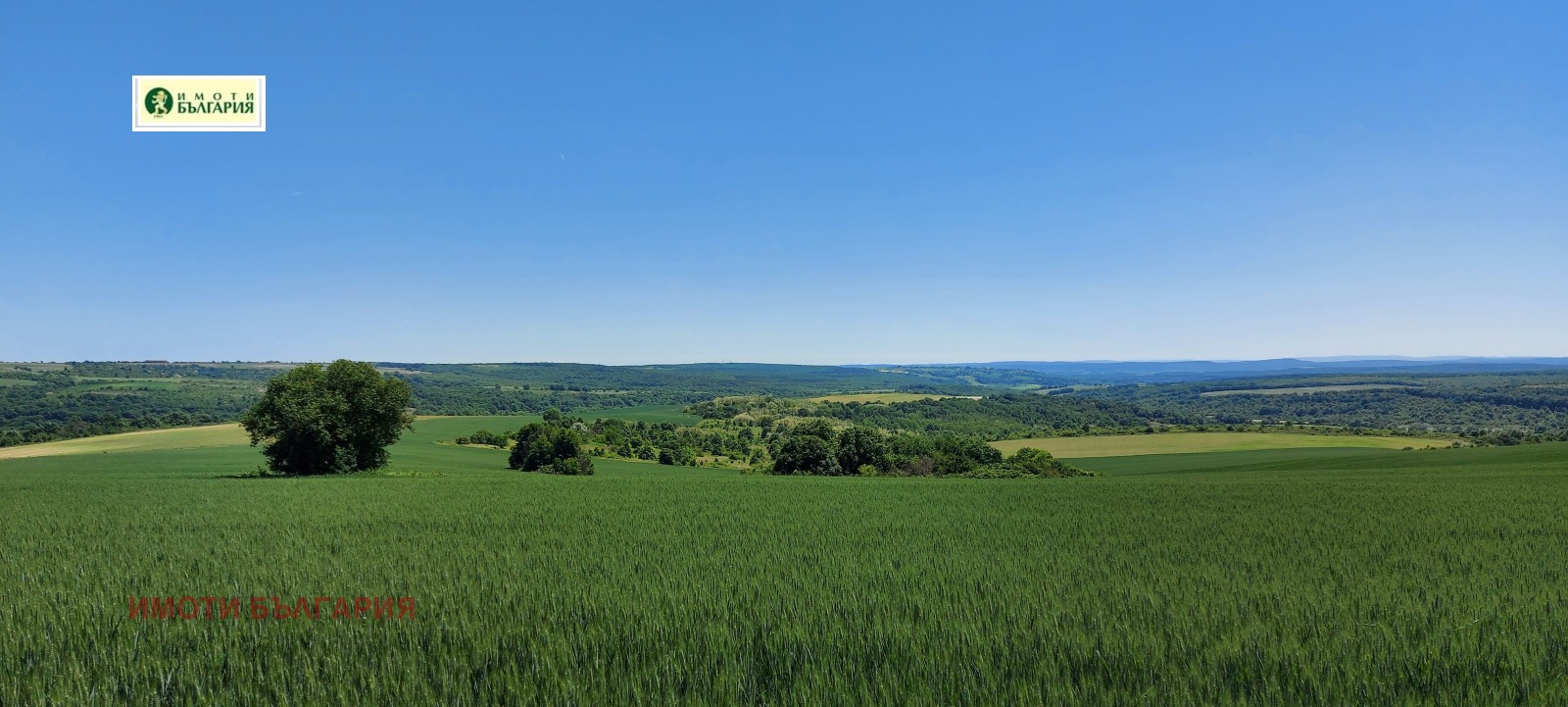 Продава ПАРЦЕЛ, с. Здравец, област Варна, снимка 2 - Парцели - 54868732