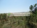 Продава ПАРЦЕЛ, гр. Хасково, Промишлена зона - Север, снимка 3