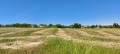 Продава ПАРЦЕЛ, с. Здравец, област Варна, снимка 3