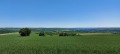 Продава ПАРЦЕЛ, с. Здравец, област Варна, снимка 2