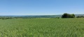 Продава ПАРЦЕЛ, с. Здравец, област Варна, снимка 1