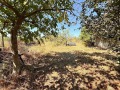 Продава ВИЛА, град Варна, м-т Боровец - юг • 105000 € • 75510543 — Holmes.bg