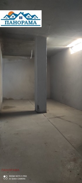 ����� ������� �����,���� �������, ���������