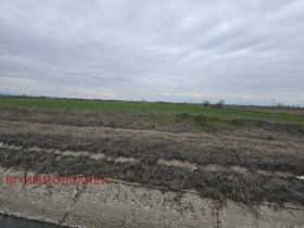 ����� ������� ������,�. �������, ������ �������