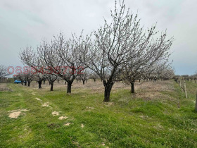 Plott Markovo, region Plovdiv 3