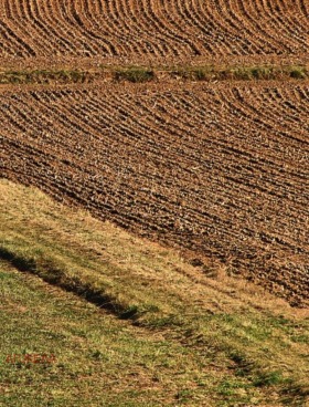 Přistát Karabunar, oblast Pazardzhik 1