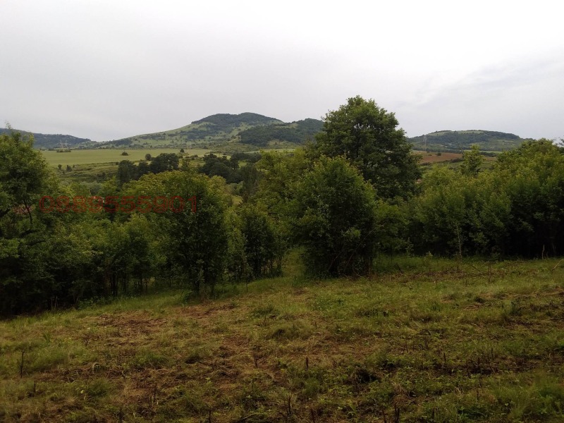 Продава КЪЩА, с. Черкаски, област Монтана, снимка 10 - Къщи - 52785369