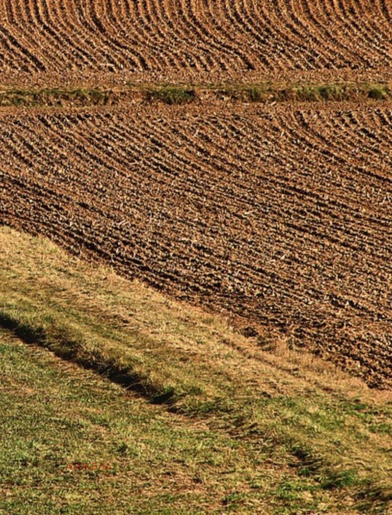 À venda  Terra região Pazardzhik , Karabunar , 1.5 tudo bem | 94551331