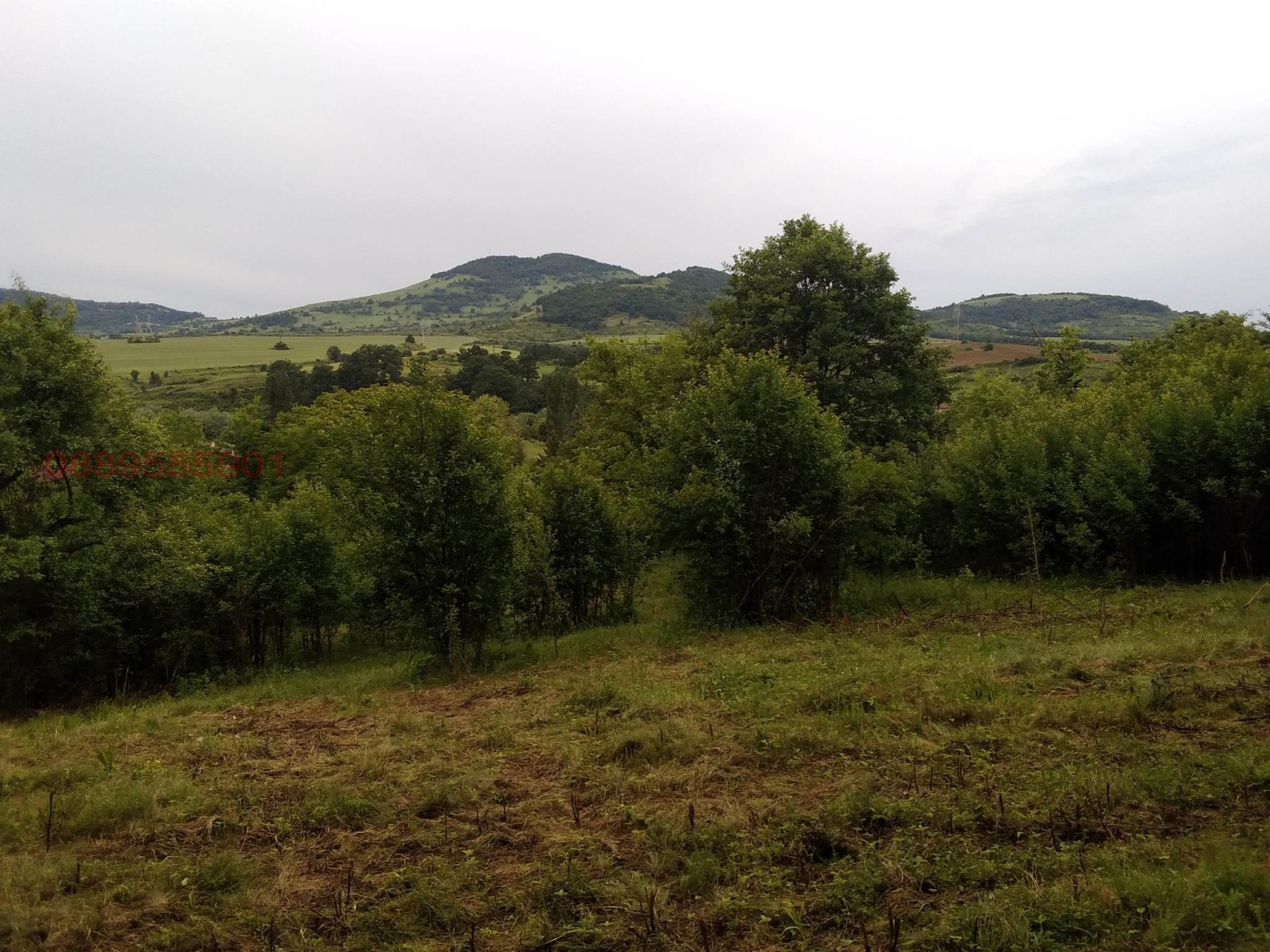 Продава КЪЩА, с. Черкаски, област Монтана, снимка 10 - Къщи - 53674427