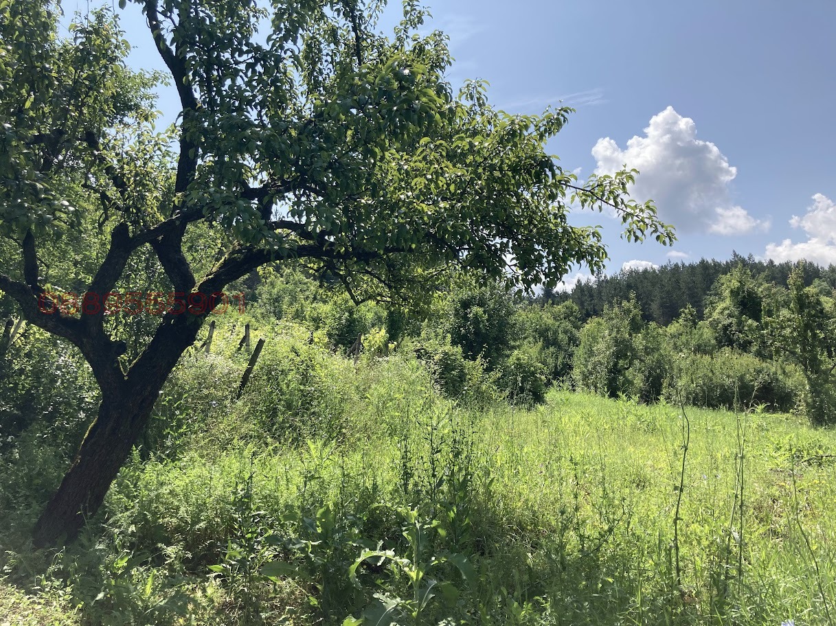 Продава КЪЩА, с. Черкаски, област Монтана, снимка 14 - Къщи - 53674427