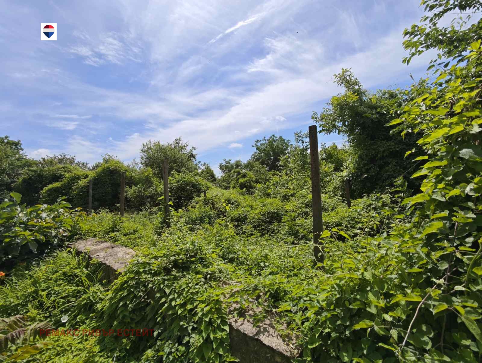 Продава КЪЩА, гр. Борово, област Русе, снимка 5 - Къщи - 54998727