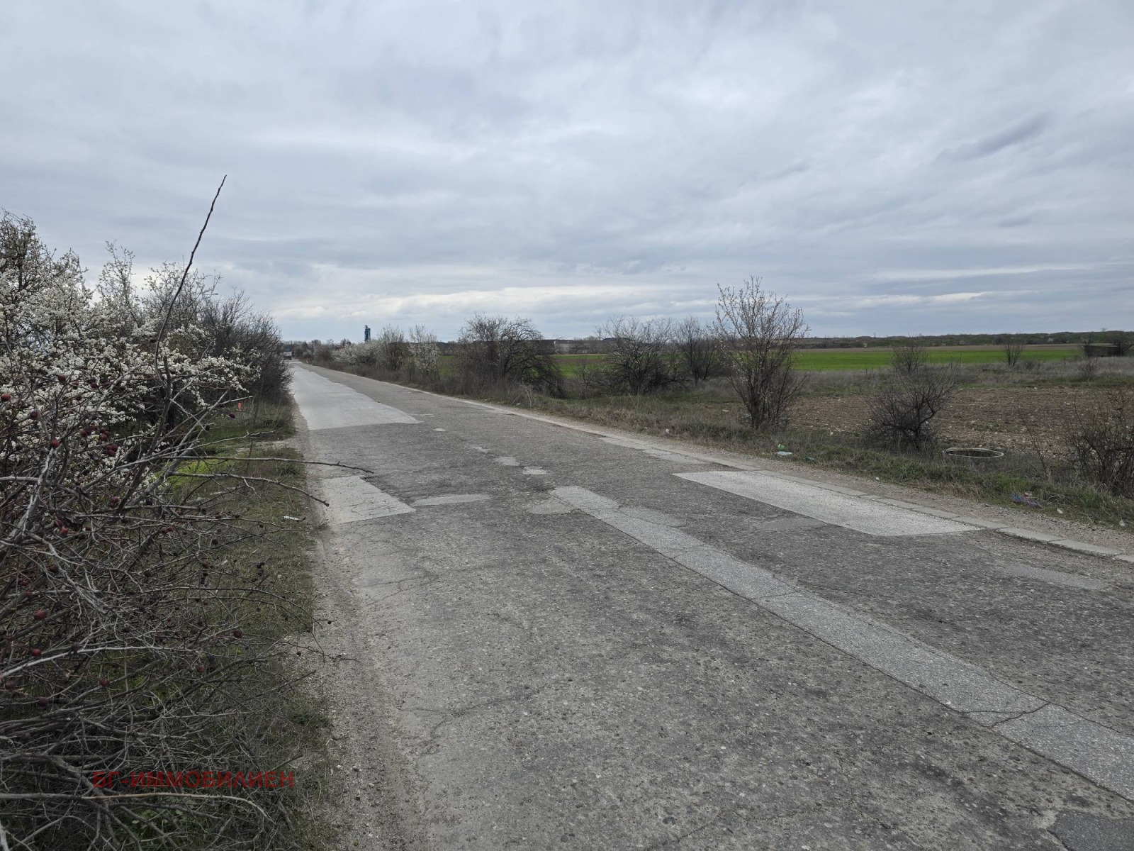 Продава ПАРЦЕЛ, с. Ягодово, област Пловдив, снимка 7 - Парцели - 42559234