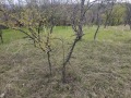 Продава ПАРЦЕЛ, гр. Кърджали, Прилепци, снимка 2