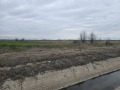 Продава ПАРЦЕЛ, област Пловдив, с. Ягодово • 123000 € / 240567.09 лв. • 73412257 5