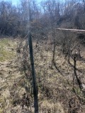 Продава ПАРЦЕЛ, град Разград, Промишлена зона - Запад • 40000 лв. • 15534156 — Holmes.bg