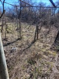 Продава ПАРЦЕЛ, град Разград, Промишлена зона - Запад • 40000 лв. • 15534156 — Holmes.bg