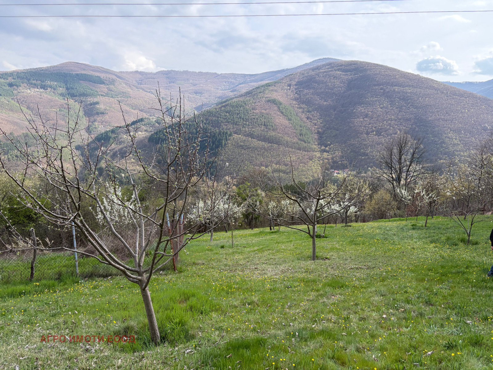 ������� ���� | Imot.bg � ����������� 2