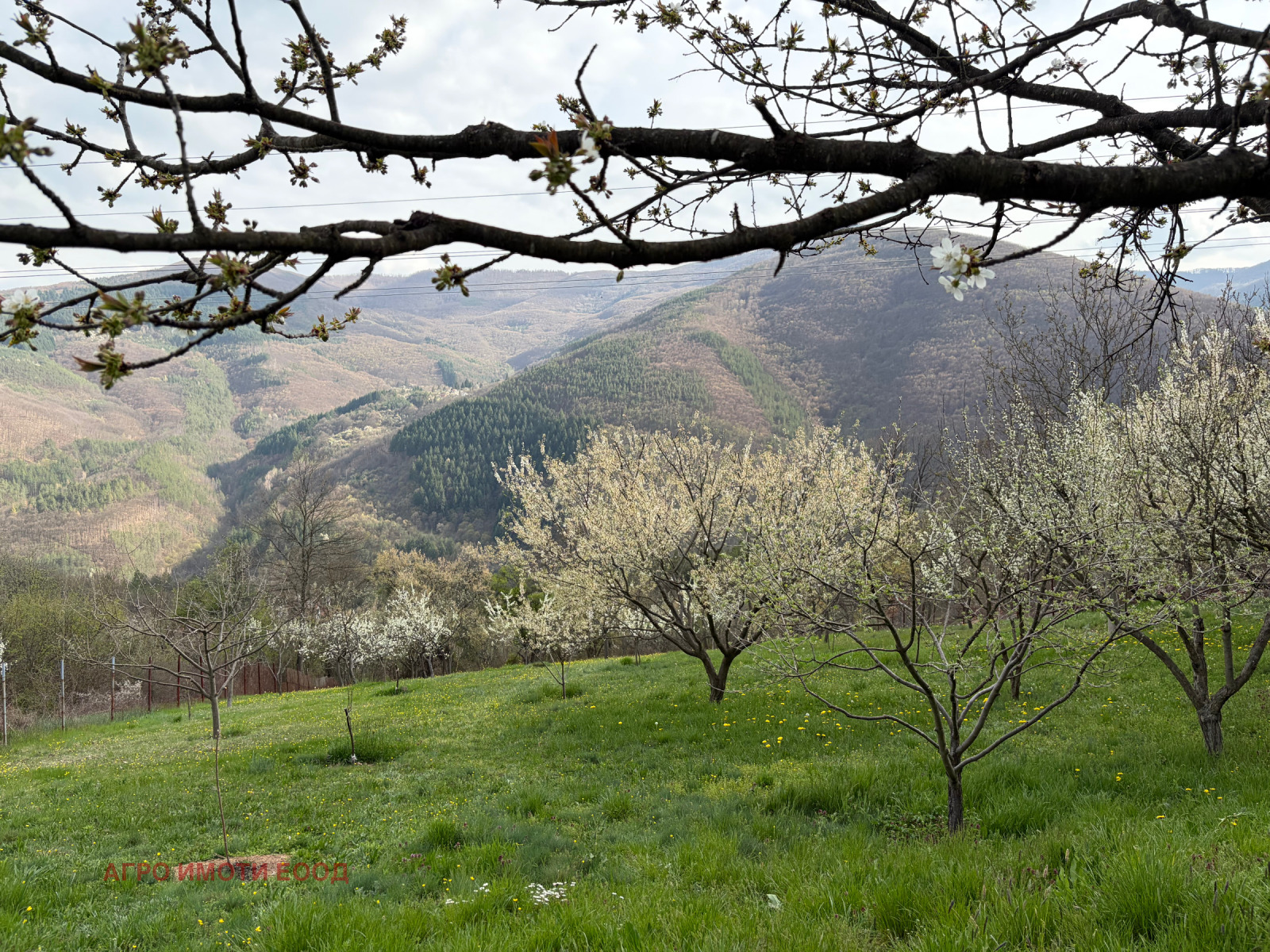 ������� ���� | Imot.bg � ����������� 4