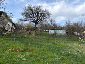 ������ ������� ����