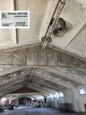 ����� ������� ����. ���������,���� ������, ���������� ���� - �����