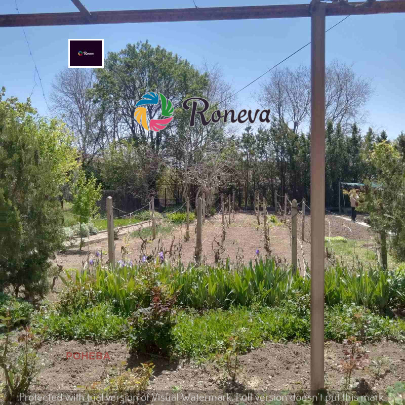 Til salgs  Villa region Dobrich , Balsjik , 72 kvm | 13790011 - bilde [13]
