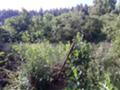 Продава ПАРЦЕЛ, гр. Перник, Ралица, снимка 2